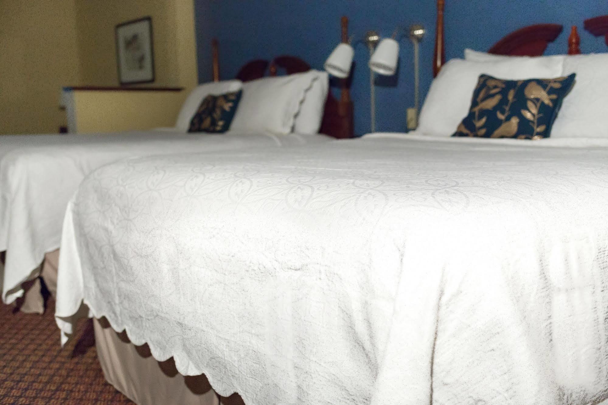 Super 8 By Wyndham High Point/Greensboro Ngoại thất bức ảnh