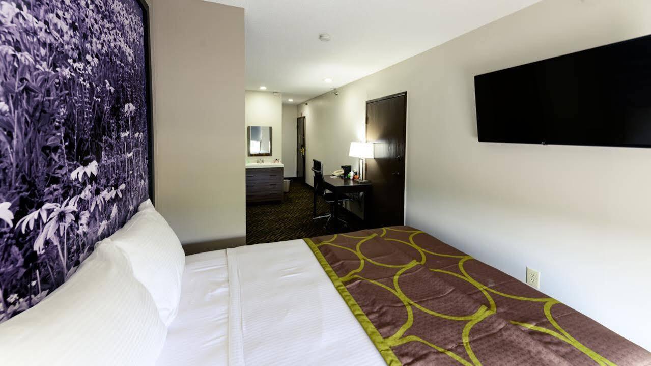 Super 8 By Wyndham High Point/Greensboro Ngoại thất bức ảnh